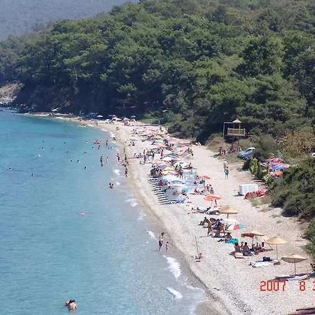 Villa Roza Villas *